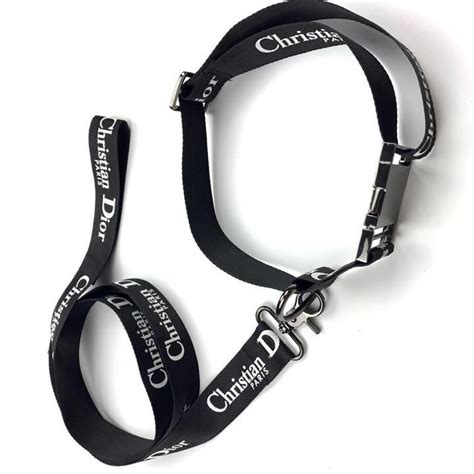 dior leash|Dior dog accessories.